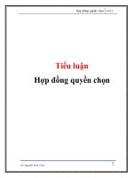 Tiểu luận: Hợp đồng quyền chọn