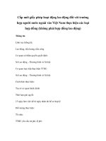 Cấp mới giấy phép hoạt động lao động đối với trường hợp người nước ngoài vào Việt Nam thực hiện các loại hợp đồng (không phải hợp đồng lao động) pptx