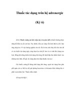 Thuốc tác dụng trên hệ adrenergic (Kỳ 6) ppsx