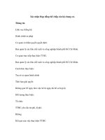 Xác nhận Hợp đồng thế chấp căn hộ chung cư docx