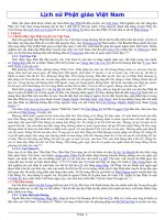 Sơ lược: Lịch sử Phật Giáo VN