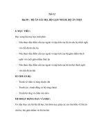 Sinh học 7 - Bài 50 : BỘ ĂN SÂU BỌ, BỘ GẶM NHẤM, BỘ ĂN THỊT pot