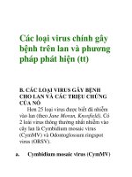 Các loại virus chính gây bệnh trên lan và phương pháp phát hiện (tt) doc