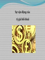 Sự vận động của tỷ giá hối đoái