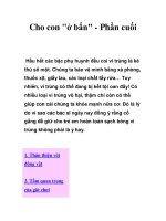 Cho con 
