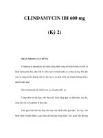 CLINDAMYCIN IBI 600 mg (Kỳ 2) doc