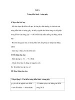 Sinh học 7 - Tiết 5: Trùng biến hình - trùng giày pot