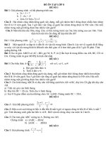 LOP 8 DE CUONG ON TAP HOC KY II