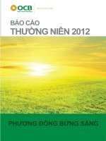 báo cáo thường niên 2012 ngân hàng phương đông ocb niềm tin và thịnh vượng phương đông bừng sáng