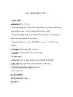 Địa lý 7 - KINH TẾ BẮC MĨ (tt) ppt