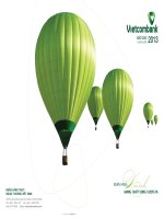 ngân hàng tmcp ngoại thương việt nam vietcombank báo cáo thường niên năm 2013
