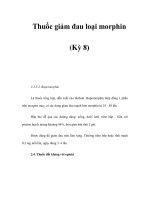 Thuốc giảm đau loại morphin (Kỳ 8) ppt