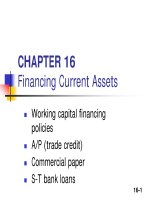 Slide Financial Management - Chapter 16 pps