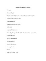 Đánh giá, xếp loại công ty nhà nước pot