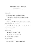 Giáo án Công nghệ lớp 6 - THỰC HÀNH CẮT KHÂU VỎ GỐI HÌNH CHỬ NHẬT ( tt ) pdf