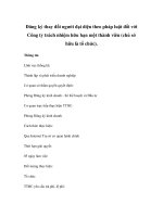 Đăng ký thay đổi người đại diện theo pháp luật đối với Công ty trách nhiệm hữu hạn một thành viên (chủ sở hữu là tổ chức) pot