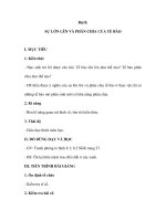 Sinh học 6 - Bài 8: SỰ LỚN LÊN VÀ PHÂN CHIA CỦA TẾ BÀO pptx