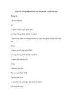 Cấp Giấy chứng nhận đủ điều kiện kinh doanh khí đốt hoá lỏng potx