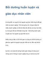 Bồi dưỡng huấn luyện và giáo dục nhân viên pdf