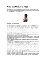 Văn hóa Otaku tại Nhật Bản ppsx