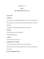 Sinh học 6 - Bài 19: ĐẶC ĐIỂM BÊN NGOÀI CỦA LÁ doc