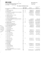 ngân hàng thương mại cổ phần sài gòn hà nội shb báo cáo tài chính riêng lẻ quý 2 năm 2013 td bảng cân đối kế toán