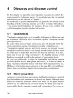 Dairy cattle husbandry - Part 3 pptx