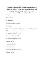 Cấp thẻ tạm trú cho thành viên các cơ quan lãnh sự, cơ quan đại diện của tổ chức quốc tế đóng tại thành phố Hồ Chí Minh (gọi tắt là cơ quan đại diện). pot