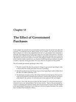 Matthias Doepke - Marcroeconomics - Chapter 12 pdf