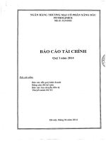báo cáo tài chính quý i năm 2014 ngân hàng xăng dầu petrolimex pg bank