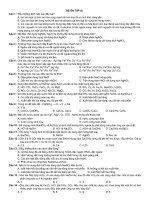 ĐỀ KIỂM TRA 1 TIẾT K 12