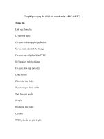 Cho phép sử dụng thẻ đi lại của doanh nhân APEC (ABTC) pdf