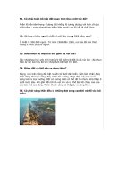 NHỮNG ĐIỀU THÚ VỊ VỀ TRÁI ĐẤT( PHẦN 2)