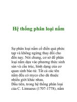 Hệ thống phân loại nấm doc