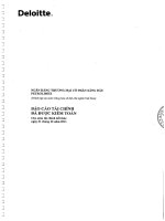báo cáo tài chính đã kiểm toán năm 2011 ngân hàng xăng dầu petrolimex pg bank