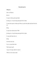 Cấp phép họp báo pdf