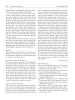 Encyclopedia of Global Resources part 22 potx