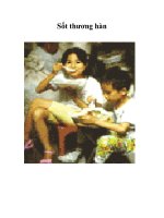 Sốt thương hàn ppt