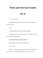 Thuốc giảm đau loại morphin (Kỳ 6) pps