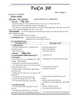 Giao an 3 Tuan 30 ( 10 buoiCKT_BVMT)