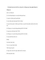 Xét duyệt dự toán chi tiết các công việc và Hạng mục công nghệ thông tin doc