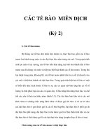 CÁC TẾ BÀO MIỄN DỊCH (Kỳ 2) doc