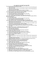 Cau hoi on tap phan di truyen