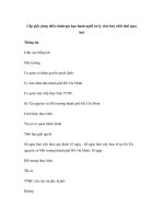 Cấp giấy phép điều chỉnh/gia hạn hành nghề xử lý, tiêu huỷ chất thải nguy hại. pps