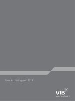 báo cáo thường niên 2013 ngân hàng quốc tế vib
