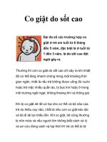 Co giật do sốt cao ppsx