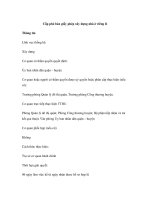 Cấp phó bản giấy phép xây dựng nhà ở riêng lẻ ppsx