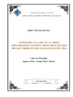 Ảnh hưởng của tiền xử lý nhiệt, nồng độ muối và đường trong dịch lên men đến quá trình lên men xoài non nguyên trái