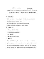 Giáo án công nghệ lớp 7 - KĨ THUẬT GIEO TRỒNG VÀ CHĂM SÓC CÂY pot