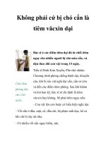 Không phải cứ bị chó cắn là tiêm văcxin dại pptx
